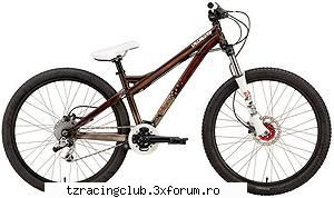 8) dirth jump bike tipuri de biciclete
