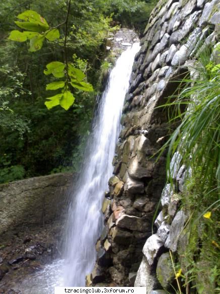 cascada  :razz:  ... [ mele ] tofydany