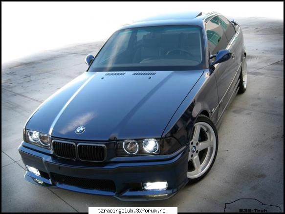 bmw e36 pisicuta