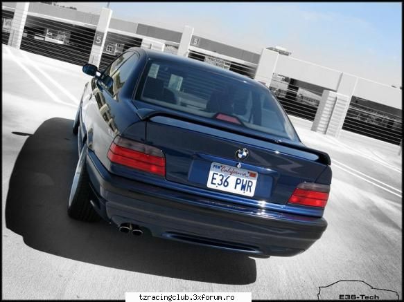 bmw e36 pisicuta