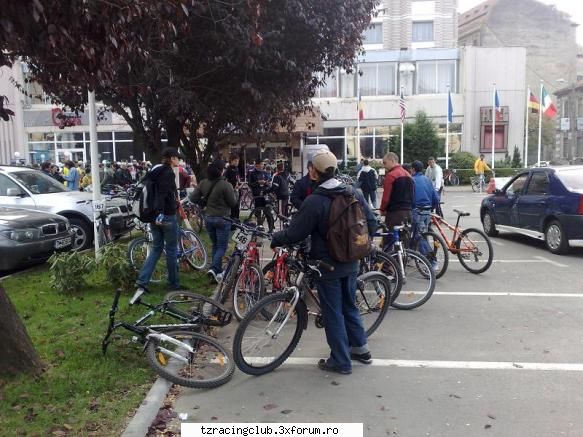 octombrie 2008: mai sunt biciclisti timisoara? poze