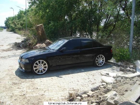 bmw e36 pisicuta