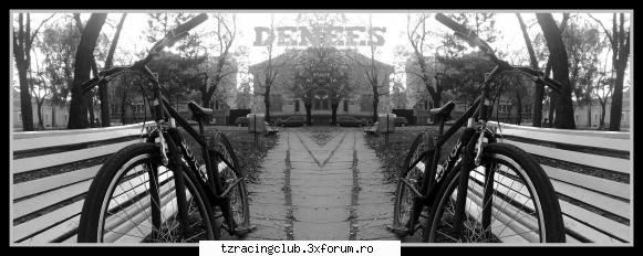 tzackla mea catalin denees new
